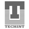 Techint Ing Const